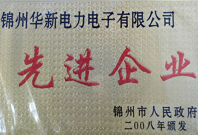 2008先進(jìn)企業(yè)